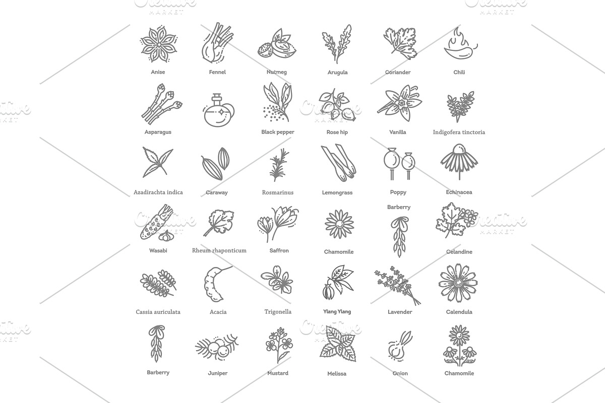 Condiment and herbs icons set, a Food Illustration by Tettygreen