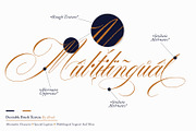 Desirable Brush Texture, a Script Font by Alcode (Thumbnail 9 of 13)