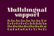 Hallie - Bold Classic Font, a Serif Font by Gleb Guralnyk (Thumbnail 5 of 6)