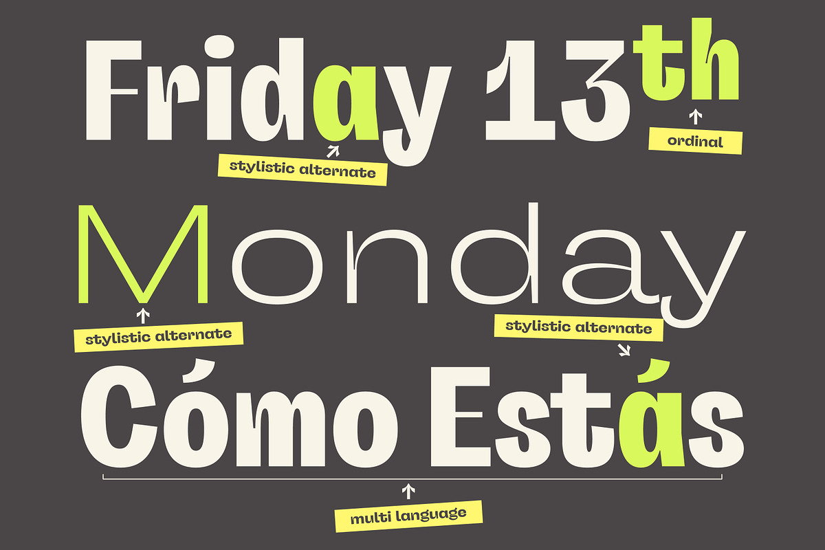 Manouche Font Family, a Sans Serif Font by Guts Type (Photo 6 of 12)