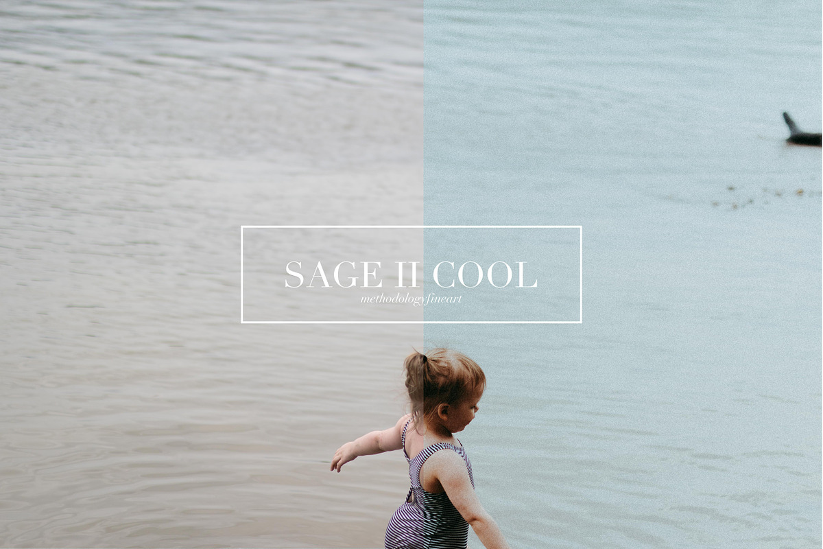 Sage, Moody Lightroom & ACR Presets, an Action Add-On by Darling Josephine (Photo 6 of 27)