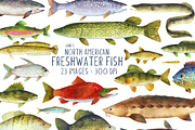 North American Fresh Water Fish, an Object Graphic by DigitalArtsi (Thumbnail 1 of 3)
