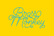Cosmopolitan Script & Sans + Extras, a Script Font by Fenotype (Thumbnail 11 of 12)