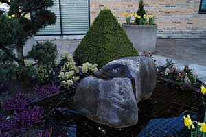Small landscaped garden with stone fountain features and spring flowers in Denm, a Photo by AS photostudio