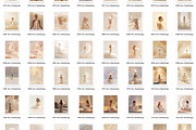 300 Celestial Stock Photo Bundle, a Beauty & Fashion Photo by Allure Art (Thumbnail 38 of 41)