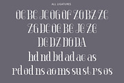 Ragerdo, a Serif Font by Sealoung (Thumbnail 12 of 12)