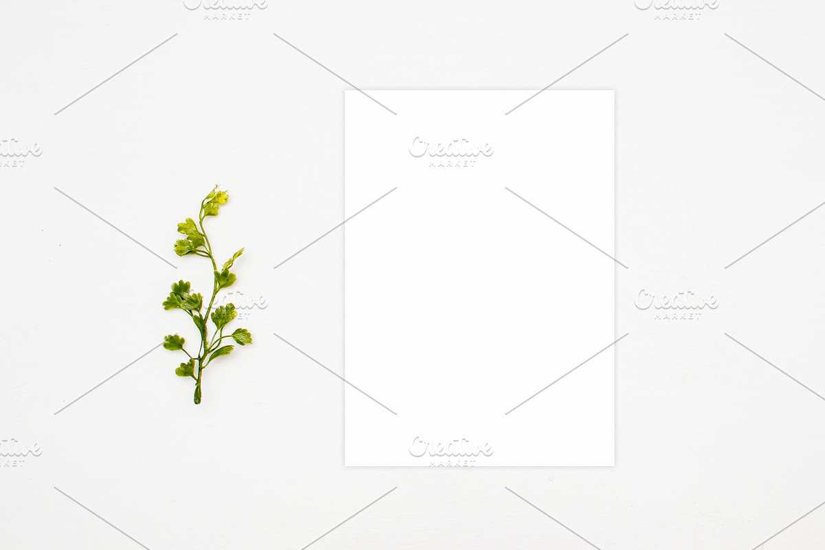 Mockup, Clean White Natural Mockups, a Photo by BlueBooks (Photo 2 of 2)