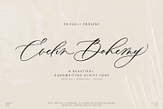 Evelin Bohemy, a Script Font by JamalCreativeStudio (Thumbnail 1 of 11)