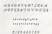 Nancy – Charming Monoline Script Fon, a Handwritten Font by Creative Foundry (Thumbnail 6 of 8)