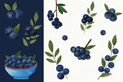 Blueberries watercolor clipart, a Food Illustration by Illustrations by Yuliia (Thumbnail 3 of 4)