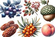 Watercolor Autumn Fruits Clipart, an Illustration by Designking (Thumbnail 3 of 4)