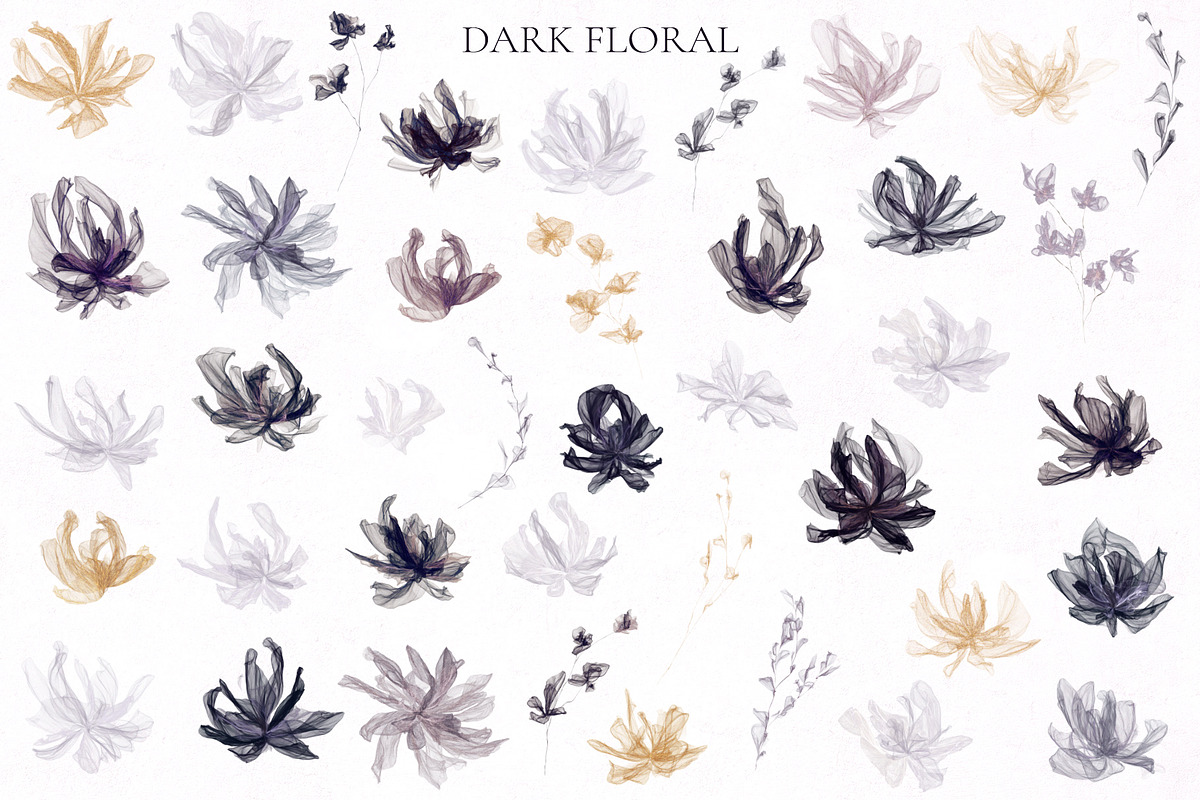 Dark Floral, an Illustration by Salted Galaxy (Photo 16 of 18)