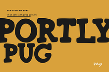 Mix Portly Pug — Bold Slab Serif
