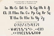 Capture, a Handwritten Font by FreshTypeINK (Thumbnail 3 of 8)