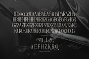 Dennya | Display Serif Font, a Serif Font by gracetype_studio (Thumbnail 12 of 12)