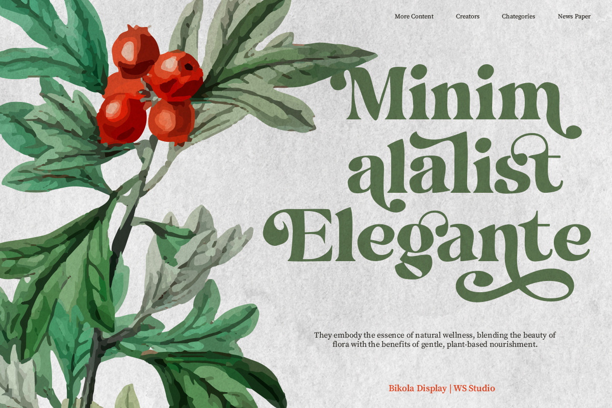 Hukela Display Serif (15 Font), a Serif Font by Positive TypeFoundry (Photo 14 of 17)