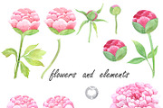 Warercolor Clipart Royal Peony Pink, an Illustration by AqwaColor (Thumbnail 3 of 4)
