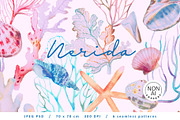 Nerida. Seamless marine pattern, a Pattern Graphic by emeraldthue (Thumbnail 1 of 7)