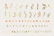 Hand Drawn Autumn Floral Kit, a Decorative Illustration by By Kerri Ann (Thumbnail 2 of 7)