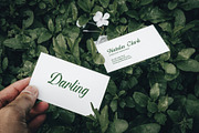 Fisterya Elegant Handwritten Font, a Handwritten Font by RantautypeStudio (Thumbnail 10 of 16)