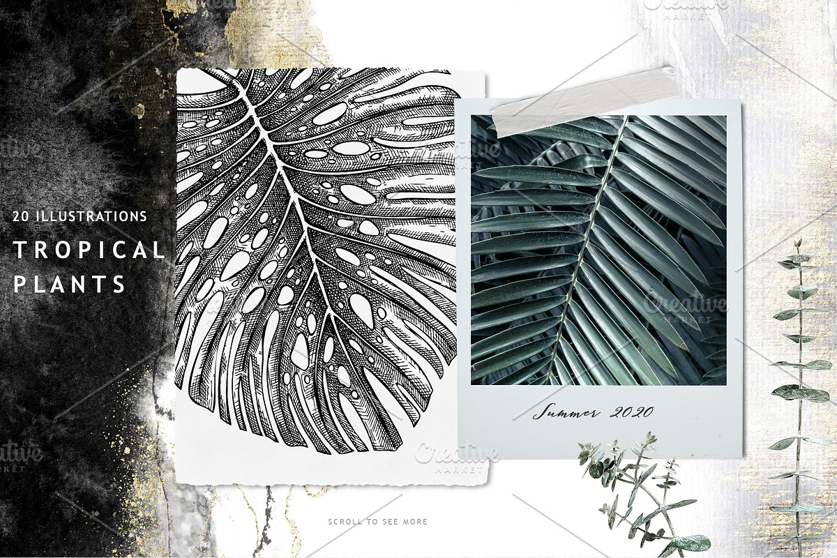 BUNDLE. Tropical Plants & Animals, an Object Graphic by Yevheniia (Photo 3 of 8)