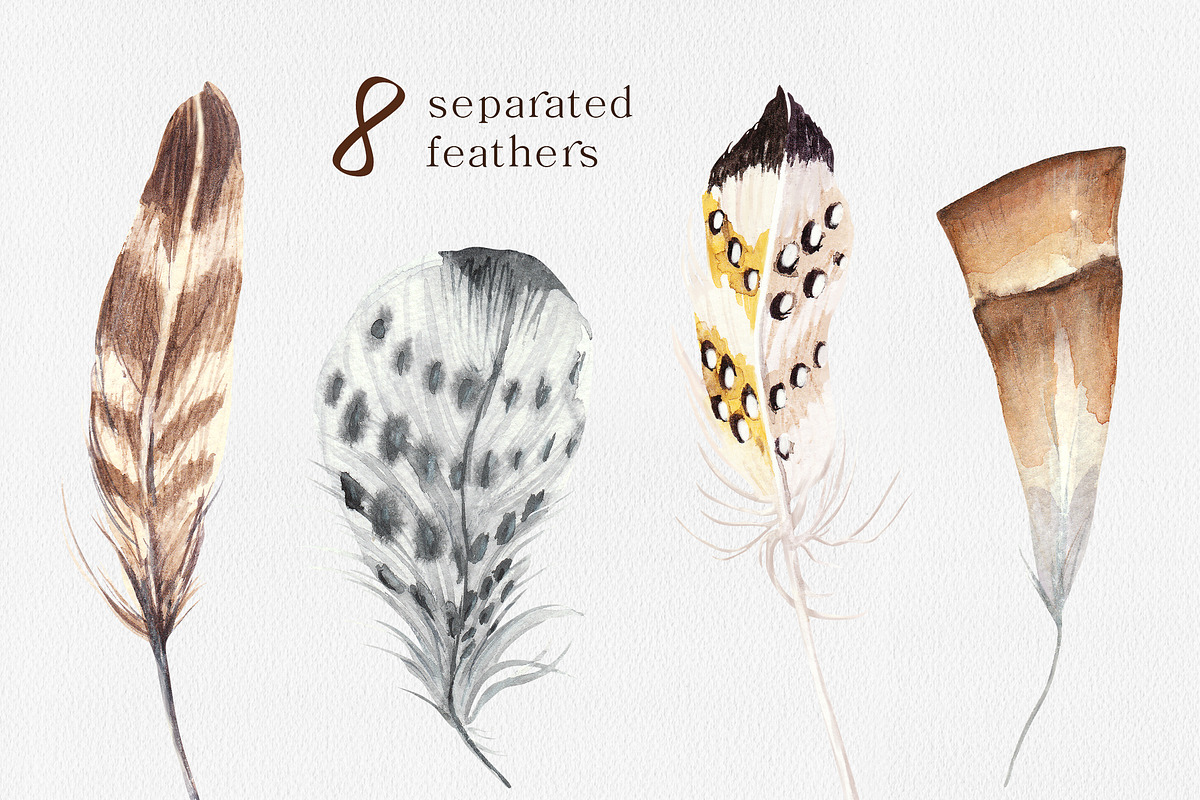 Feathers Watercolor Collection, a Texture Illustration by SOVA (Photo 2 of 7)