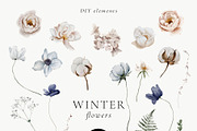 Winter Flowers Watercolor Set, a Decorative Illustration by Watercolor_Ma (Thumbnail 7 of 8)