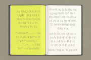 Gafloc Thin Serif Display, a Serif Font by timelesstype.co (Thumbnail 14 of 15)