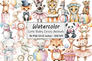 Cute Baby Circus Animals, an Illustration by Design Market