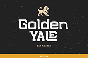 Wahong Sports Design Special Font, a Sans Serif Font by AuthenType (Thumbnail 9 of 12)