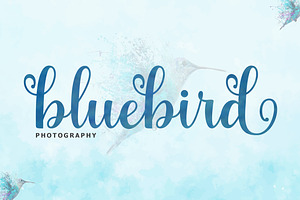 The Juliette Script Font