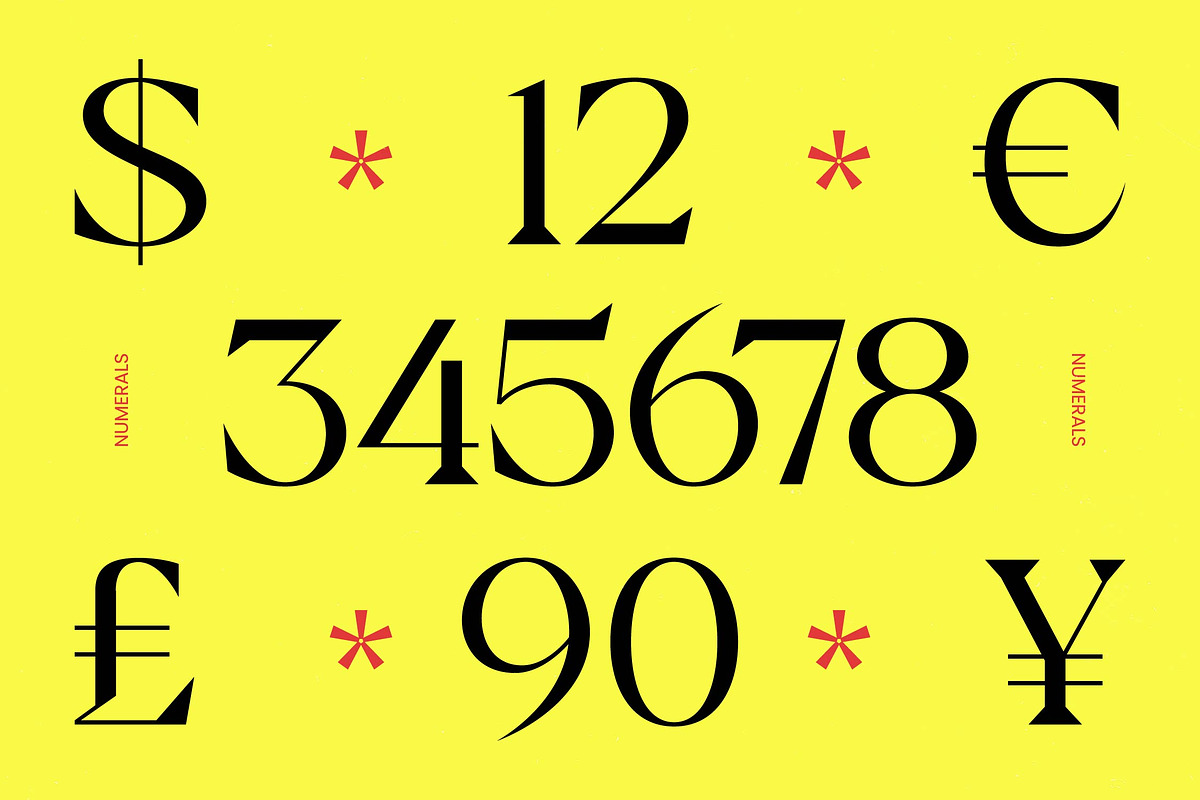 Badiek Serif Display, a Serif Font by timelesstype.co (Photo 6 of 15)