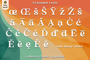 Classic Vibes, a Serif Font by greatypes studio (Thumbnail 27 of 29)