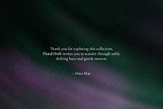 Floral Drift - Blurry Backgrounds, a Background Graphic by Dina Mae (Thumbnail 14 of 14)