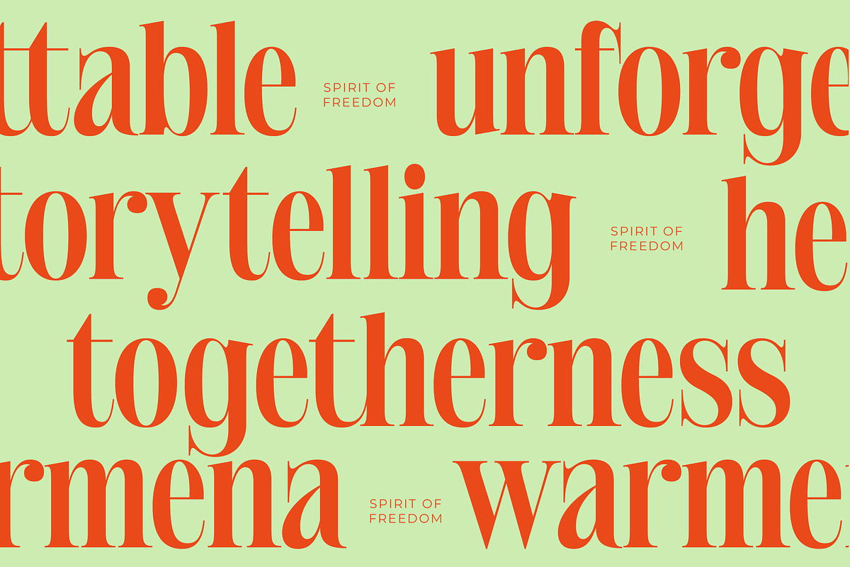 Delivery Feedback Modern Serif, a Serif Font by timelesstype.co (Photo 12 of 20)