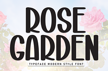 Rose Garden | Script Font