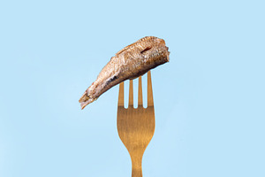 Sardinecore trend concept, canned sardines in metal jar, a Food & Drink Photo by Rimma