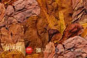 Broken Leaves 200 Transparent Object, an Object Graphic by nicholasasmita (Thumbnail 9 of 15)