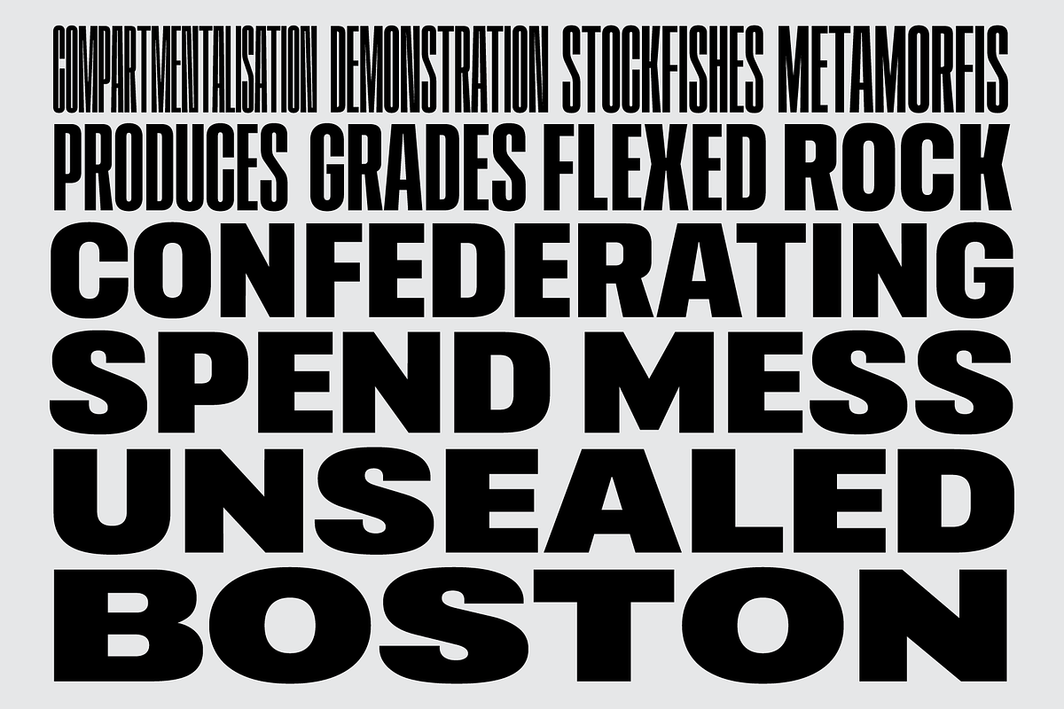 403 Vusion, a Sans Serif Font by 403 Type Foundry (Photo 4 of 20)