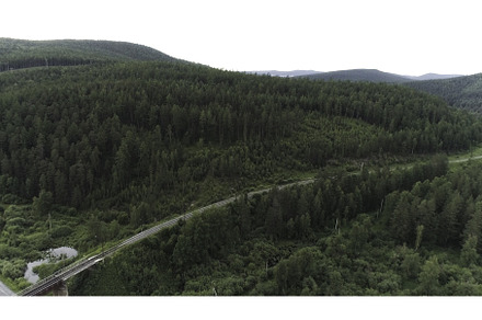 Top view of beautiful green, a Transportation Photo by Media Whale Stock