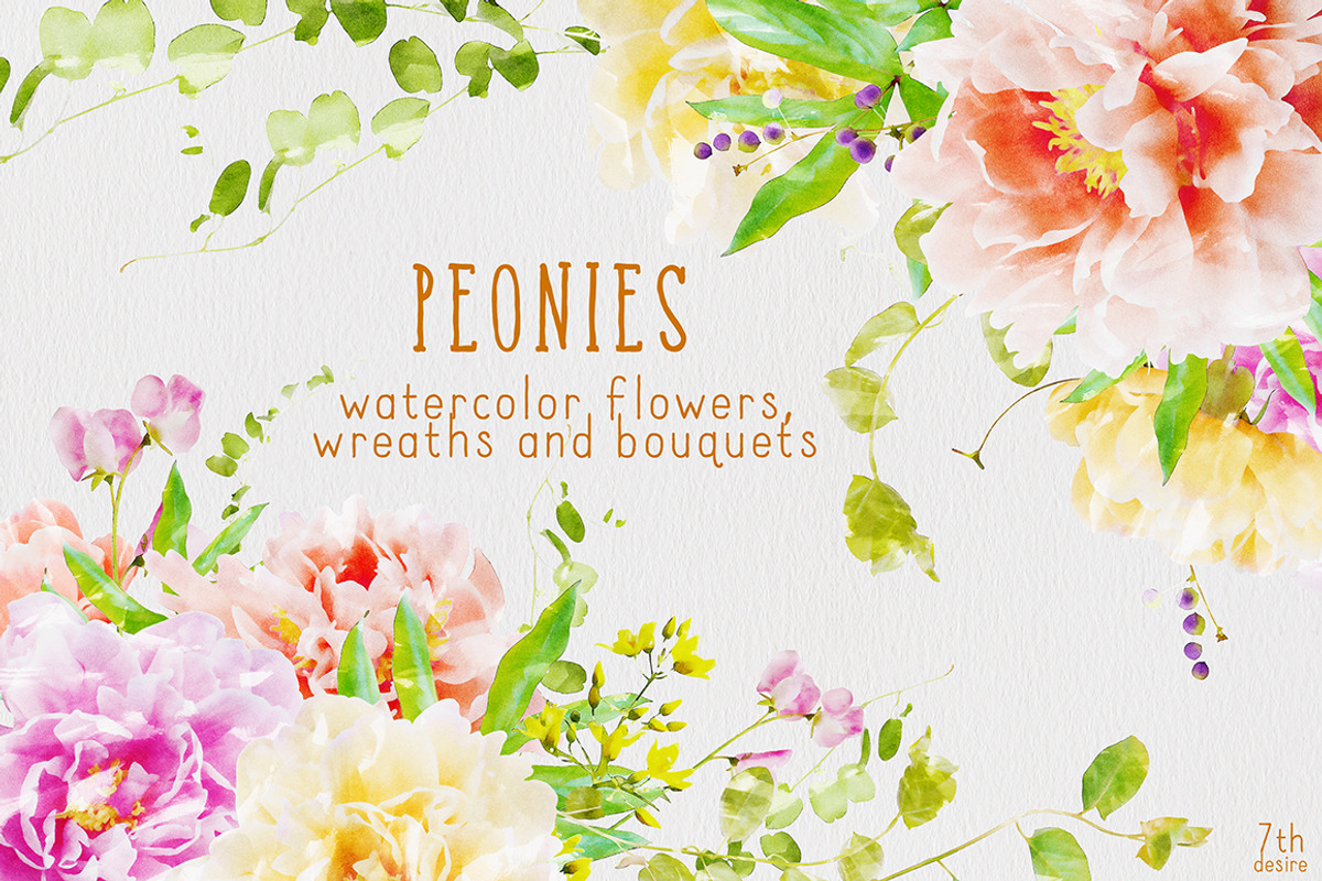 Watercolor Flowers - Peonies, a Graphic by TheSeventhDesire (Photo 1 of 10)