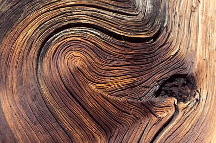 Woodgrain Texture