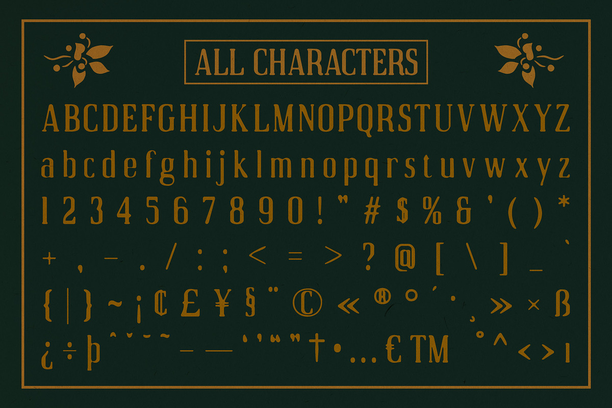 Acelon Blur, a Serif Font by Craft Supply Co. (Photo 3 of 8)