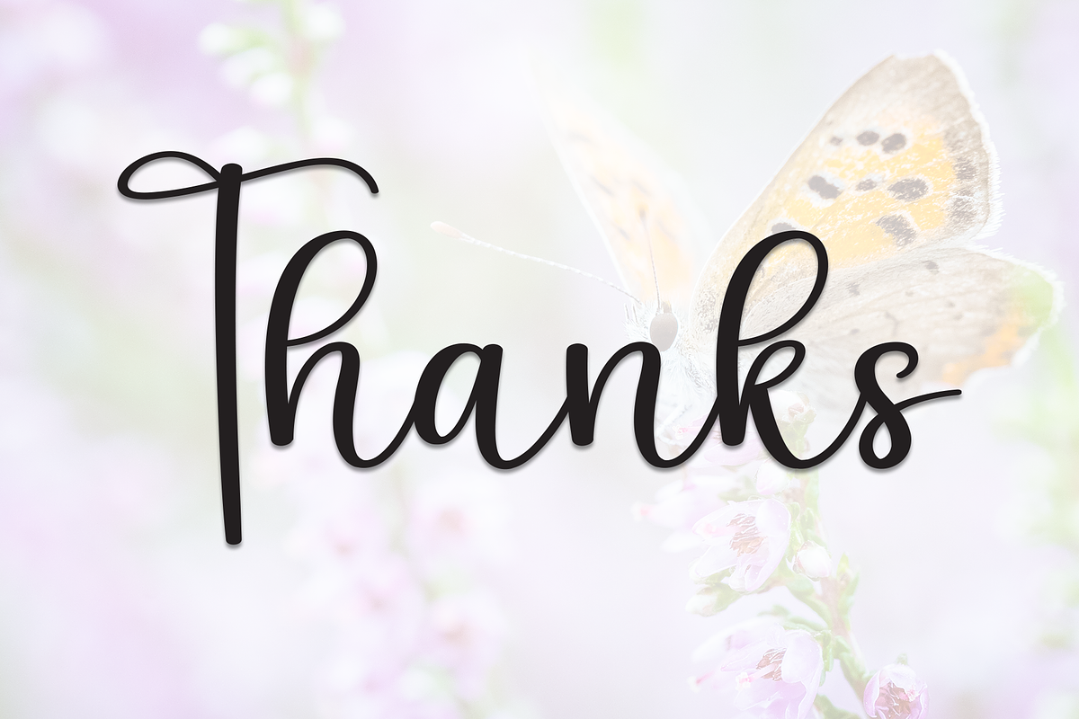 Baby Butterfly | Script Font, a Handwritten Font by Scratchones (Photo 8 of 8)
