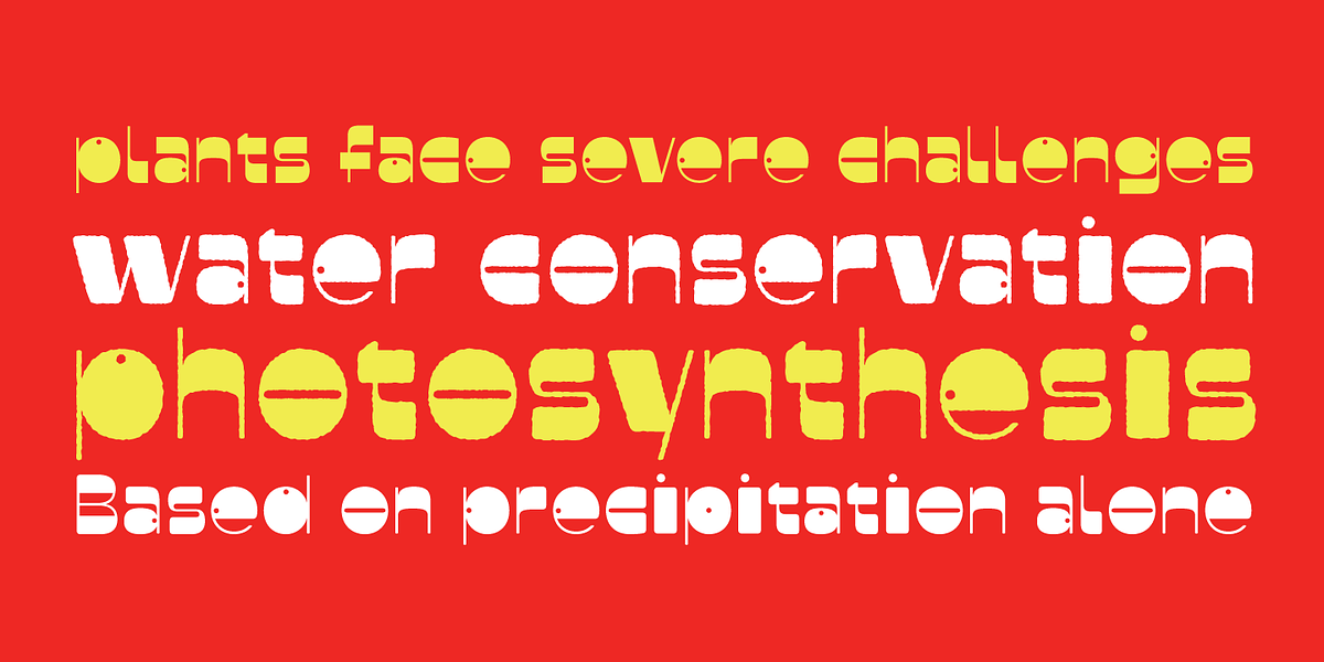 Faddy, a Sans Serif Font by Ani Dimitrova (Photo 18 of 19)