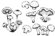 Mushrooms hand drawn set isolated, a Food Illustration by Tierre3012 (Thumbnail 1 of 3)