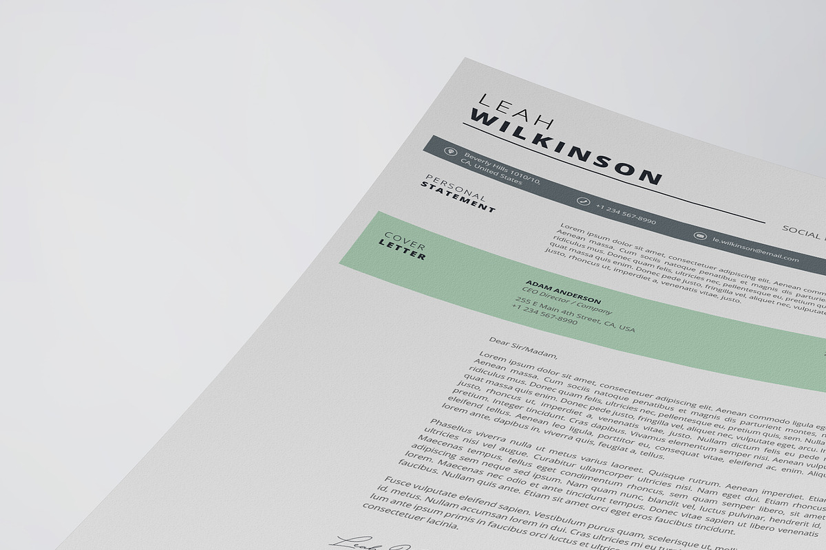 Clean Resume/CV Template, a Resume Template by HueNestify
