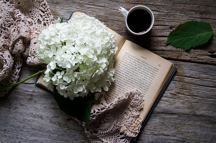 Rustic Book, Flower, Coffee, a Photo by Britt Leah