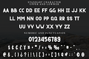 Nice Try, a Script Font by InermediaSTUDIO (Thumbnail 6 of 8)