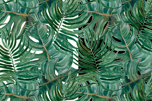 Palm Tree Leaves Patterns